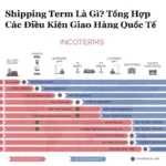 shipping term-dieu kien giao hang